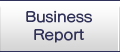 Business Report